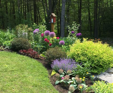 Perennial Border Plants For Landscaping