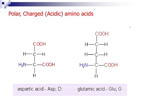 PPT - Protein Structure: Levels, Functions, and Building Blocks ...