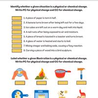 Visual Worksheet: Changes in Matter - Science Class 5 PDF Download