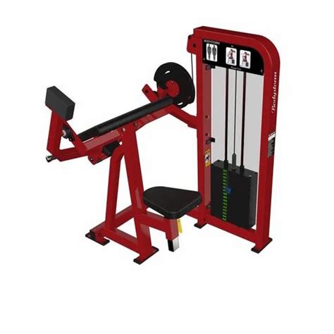 Image result for Arm Curl Machine