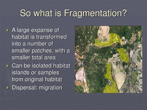 Image result for Fragmentation Def