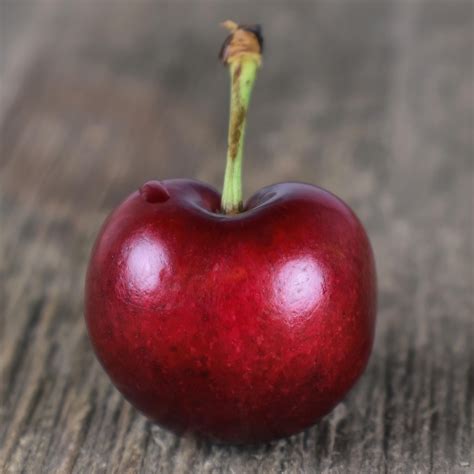 Cherry Fruit Sweet - Free photo on Pixabay - Pixabay