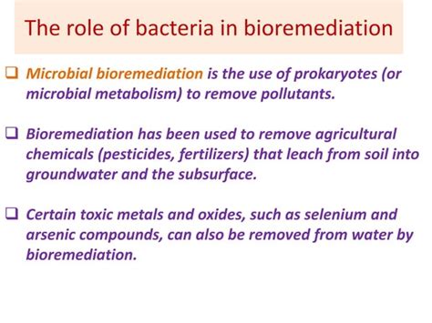 Biotechnology Using Bacteria 的图像结果