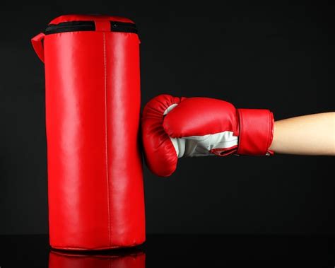 Punching Boxe 的图像结果