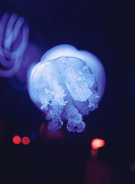 Image result for Fluid