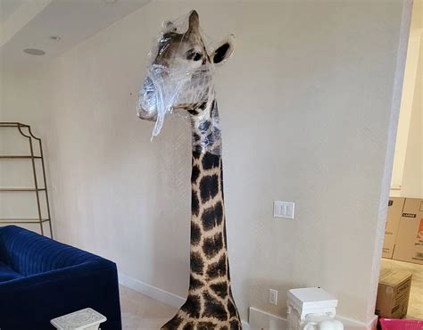 Antique Movers Cooper City FL Albert's Relocation