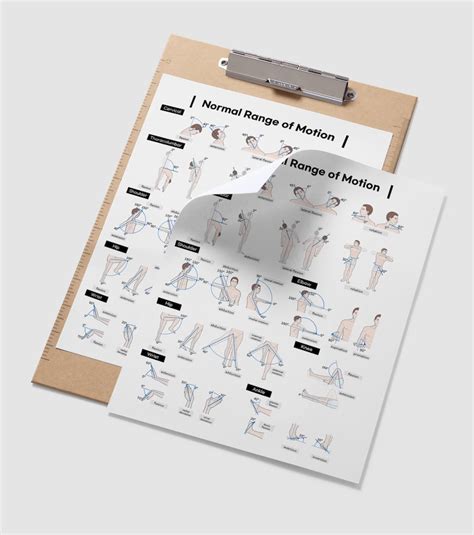 Buy Range of Motion Chart: Printable ROM Reference Poster (A4 JPG ...
