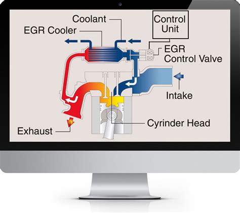 egr. 的图像结果