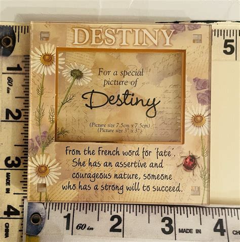 The Name Destiny Means