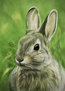 Image result for Pop Art Rabbit