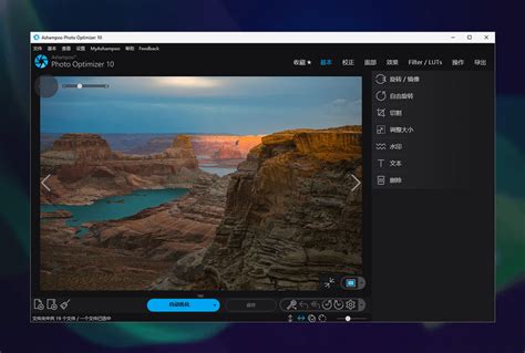Ashampoo Colorizer 的图像结果