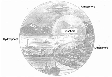 Class 7 Geography Chapter 1 Question Answers - Environment