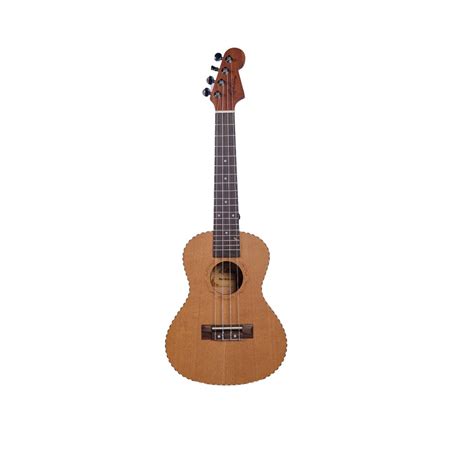 Buy Ukulele Online at Best Price in India | Azad Music