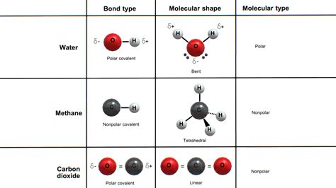 Polar and nonpolar covalent bonds - Download Free 3D model by arloopa ...