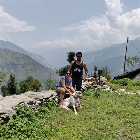 THE GOAT VILLAGE, DAYARA BUGYAL (Raithal) - Farmhouse Reviews, Photos ...