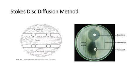 Antimicrobial susceptibility testing- Microbiology | PDF