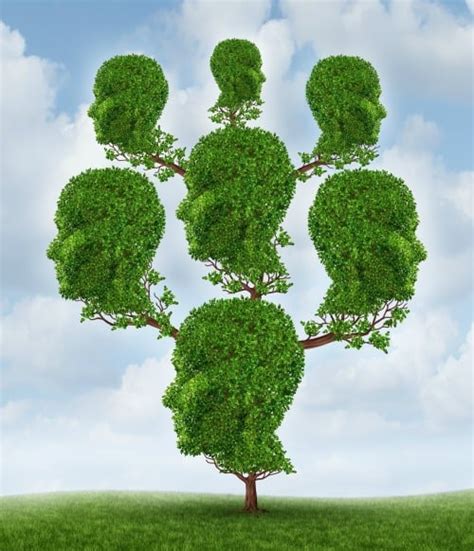 Image result for Family Tree Small Tree