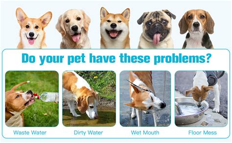 Vroxy Feeding Bowl for Dog Cat Dog Water Bowl Upgrade Large Capacity ...