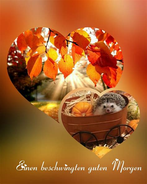 Good Morning Wishes, Greetings, German, Fall Season, Funny Good Morning ...