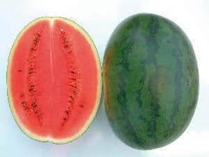 (H 20) Watermelon seeds - Namdhari | F1 Hybrid | Buy Online Now – Desikheti