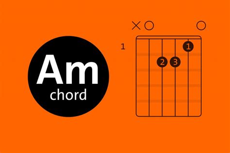 Image result for AM Tutorials for Beginners