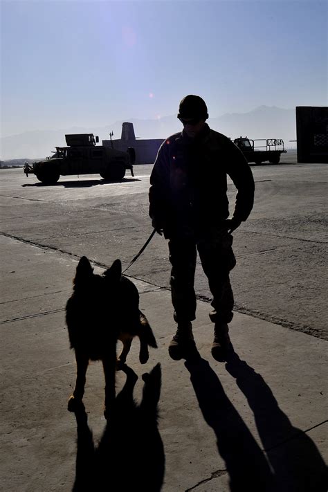 Image result for Task Force Solutions Security