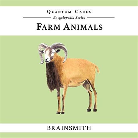 Buy Brainsmith Quantum Flash Cards, Farm Animals - Educational ...
