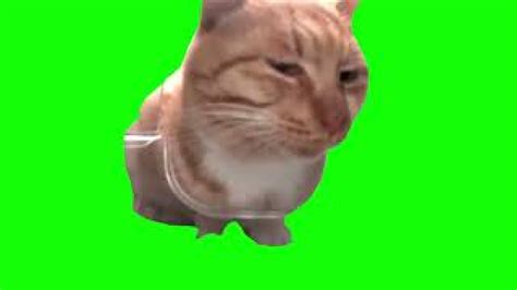 Mr Fresh Cat Side Eye Meme Green Screen - Video Download MP4