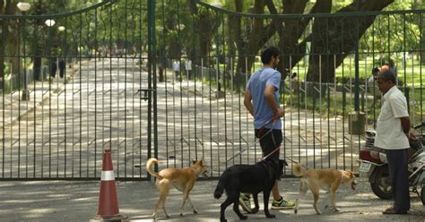 Pets To Be Banned In Bengaluru’s Cubbon Park From July 1st, Animal ...