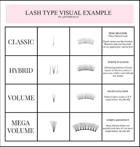 Image result for Eye Lashes Extension Types