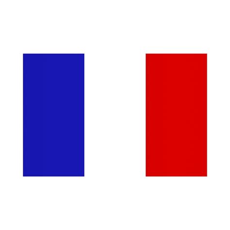 French Flag Graphic