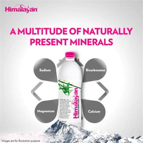 Himalayan Mineral Water,Mildly Alkaline Mineral Water Price in India ...