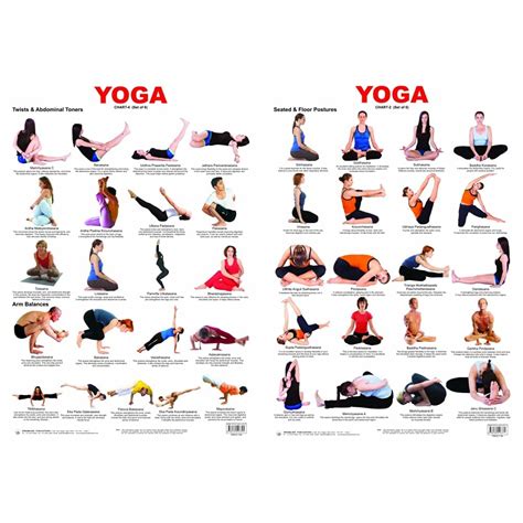 Yoga Chart 4 + Yoga Chart 2 (Set of 2 Books) : Amazon.in: Books