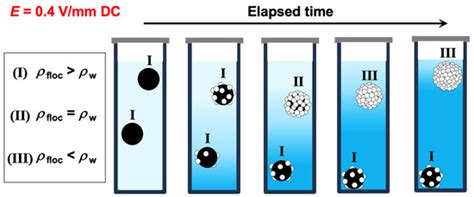 Electric Field-Induced Settling and Flotation of Flocs in Mixed Aqueous ...