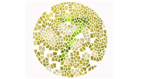 Take this test to see if you are colour blind | TheHealthSite.com