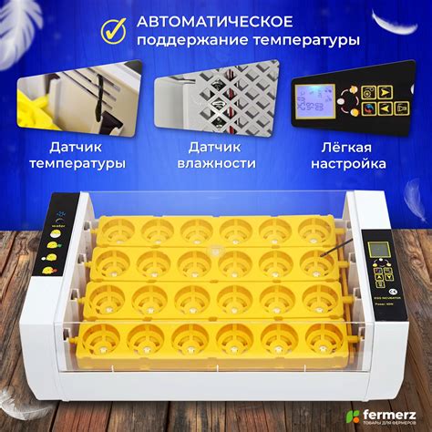 Инкубатор HHD на 24 яйца с овоскопом, автоматический переворот купить ...