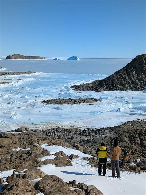 Monitoring for avian influenza in East Antarctica – Australian Antarctic Program (News 2024)