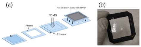Fabrication of Piezoelectric ZnO Nanowires Energy Harvester on Flexible ...