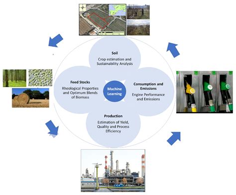 Machine Learning Applications in Biofuels’ Life Cycle: Soil, Feedstock ...