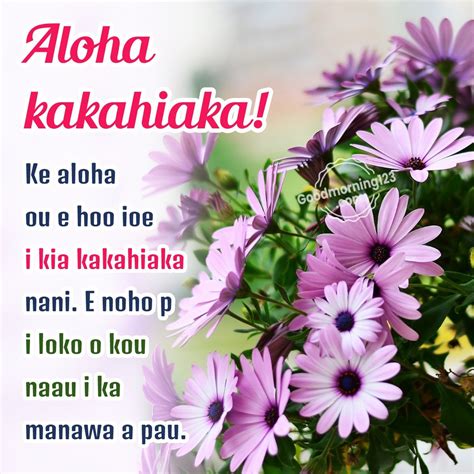 80+ Good Morning Wishes Images In Hawaiian With English Translation