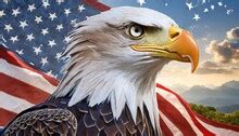 Image result for How Can I Use a or Statement in Computer Science Python