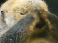 Discover 35 life model poses and model poses ideas | poses, sitting ...