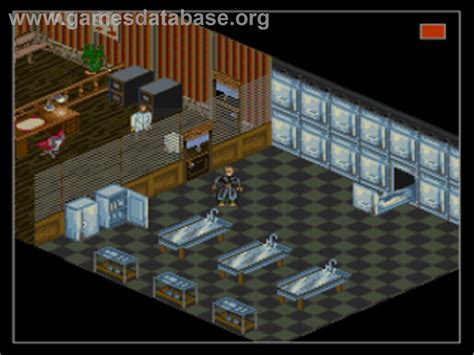 Expert System Programs Shadowrun 的图像结果