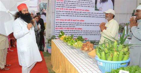 At Dera, Ram Rahim Set His Own Price - Tomatoes Sold For Rs 1000 ...