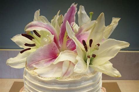 Baked With Love By Annie - Wedding Cake - Dadar - Weddingwire.in