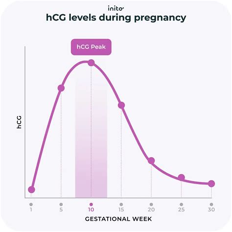 Pregnancy Test Progression: What Should It Look Like?