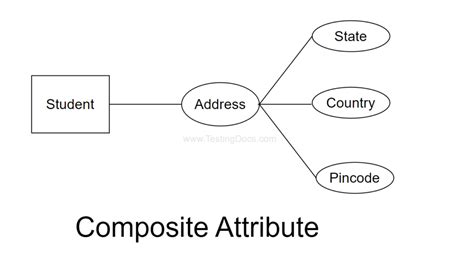 Image result for Attributes Types