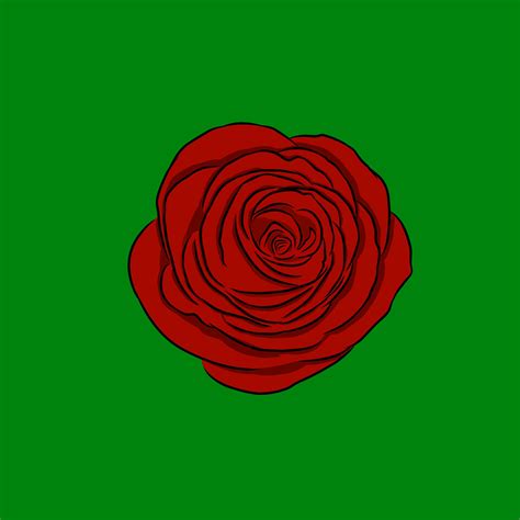 Rose flower pattern 46395158 Vector Art at Vecteezy