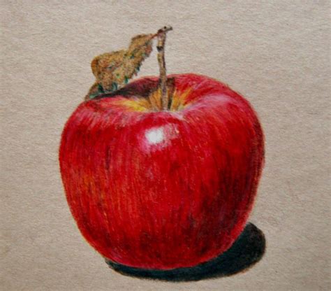 3 apple drawing