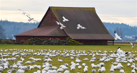 Welcome to North Cascades Institute — North Cascades Institute